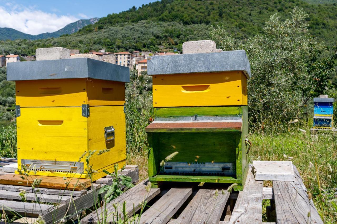 Arve Castelbianco - B&B E Appartamento Colletta Exterior foto